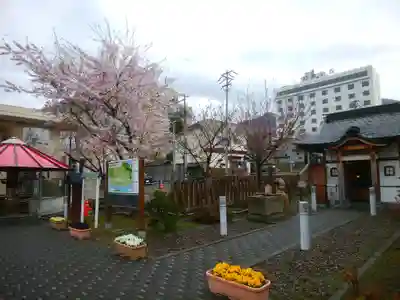 湯前薬師如来堂の本殿・本堂