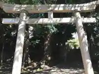 金王八幡宮の鳥居