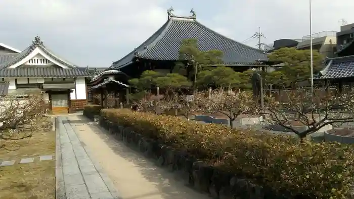 梅林寺の建物その他