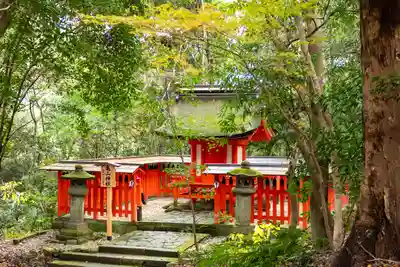 宇佐神宮(大分県)