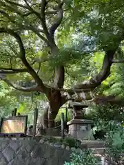 本牧神社(神奈川県)