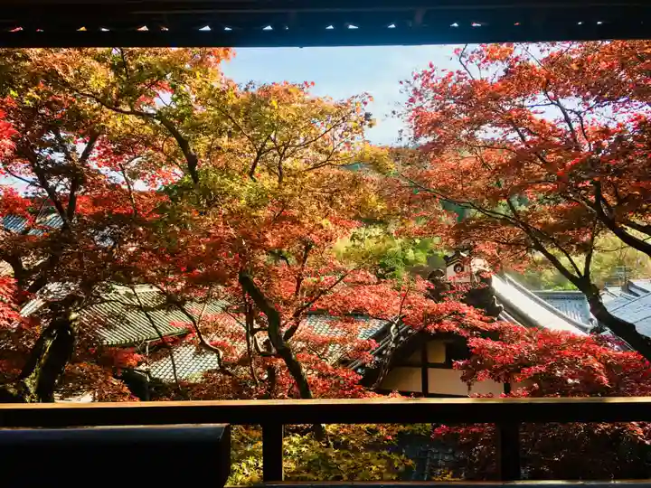 柳谷観音 楊谷寺の自然