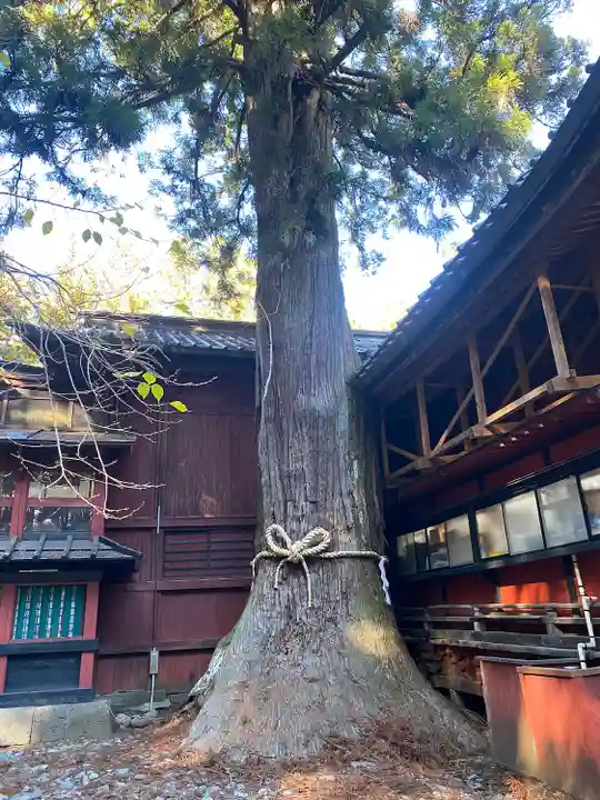 北口本宮冨士浅間神社(山梨県)