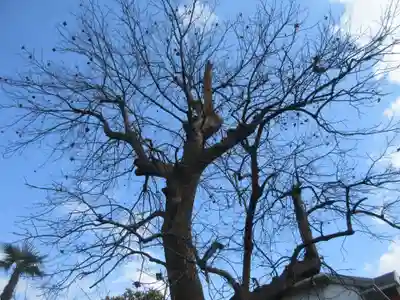 光明寺(神奈川県)