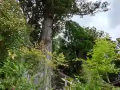 田瀬神社(岐阜県)