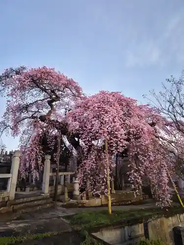 日輪寺(福島県)