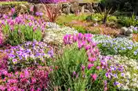 寿量山 速成寺の庭園