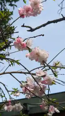 御辰稲荷神社(京都府)