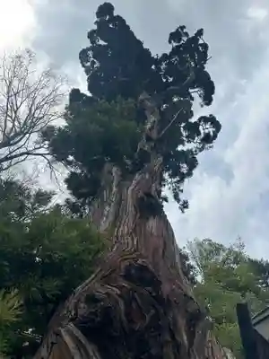 勝山八幡神社(山梨県)