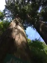 丹生川上神社（中社）の自然