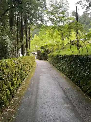 四本龍寺の{uncategorized: "未分類", other: "その他", undefined: "問題あり", building: "その他建物", grave: "お墓", sacred_gate: "鳥居", guardian: "狛犬", statue: "像", buddha: "仏像", history: "歴史", nature: "自然", garden: "庭園", animal: "動物", pagoda: "塔", temizu: "手水舎", mountain_gate: "山門・神門", sanctuary: "本殿・本堂", subordinate: "末社・摂社", art: "芸術", scenery: "景色", jizo: "地蔵", ema: "絵馬", goshuin: "御朱印", omikuji: "おみくじ", items: "授与品その他", amulet: "お守り", goshuincho: "御朱印帳", eats: "食事", festival: "お祭り", votive_dance: "神楽", shichigosan: "七五三参", wedding: "結婚式", experience: "体験その他", initially: "初詣", around: "周辺", anti_infection: "感染症対策"}