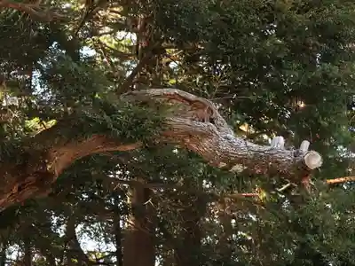 目の霊山　油山寺(静岡県)