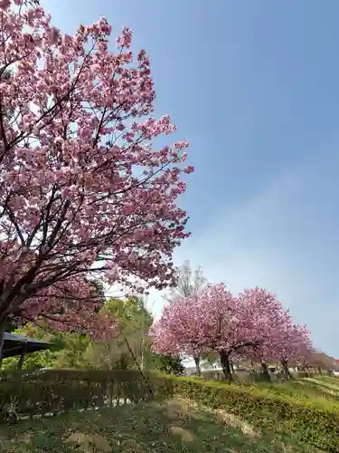 滑川神社 - 仕事と子どもの守り神(福島県)