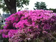 要法寺(神奈川県)