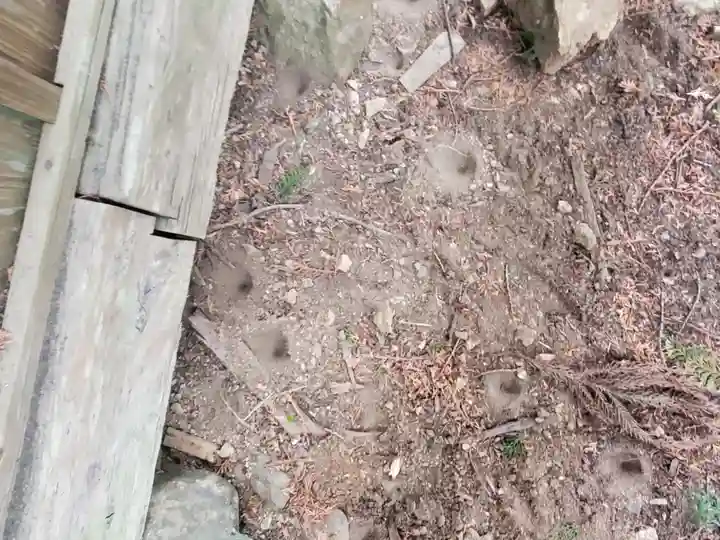 皆沢八幡宮本殿(群馬県)