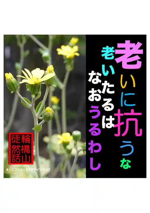 耕田院(山形県)