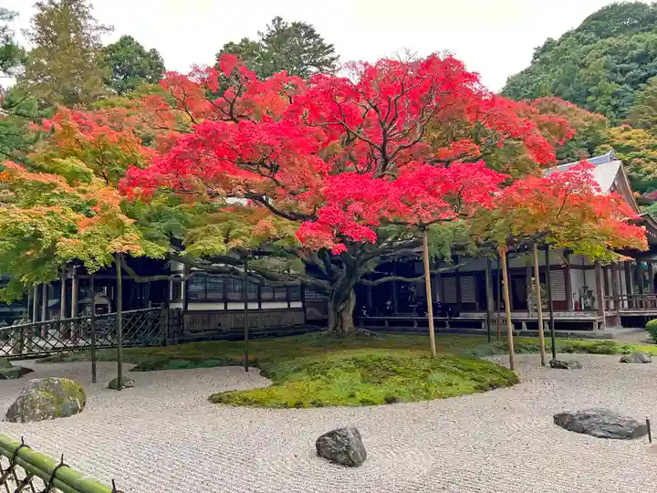 千如寺大悲王院(福岡県)