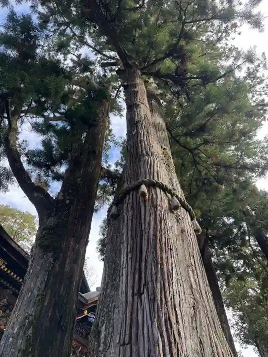 三峯神社(埼玉県)