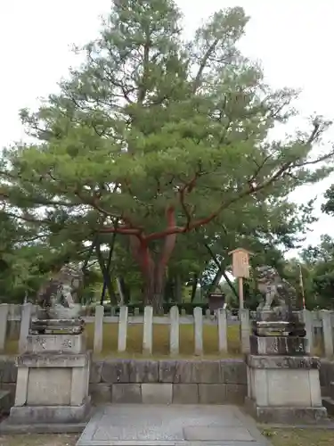 北野天満宮の庭園