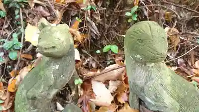 菅東山出世稲荷神社の狛犬