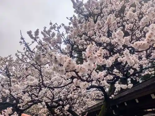 湯島天満宮(東京都)