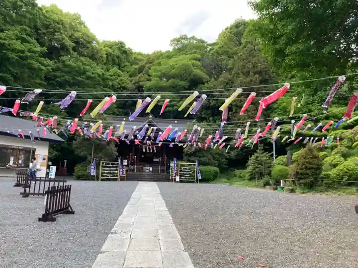 武州白子熊野神社(埼玉県)