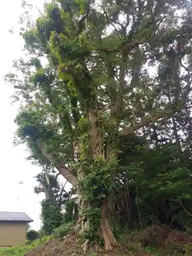 白鳥弁天の自然