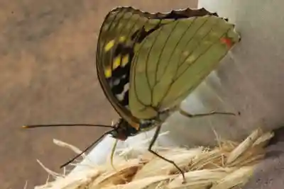 国宝 大法寺(長野県)