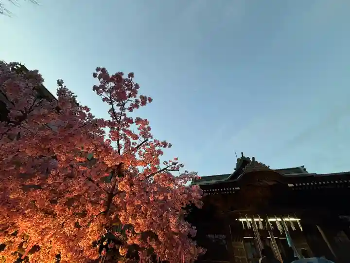 桜神宮の{uncategorized: "未分類", other: "その他", undefined: "問題あり", building: "その他建物", grave: "お墓", sacred_gate: "鳥居", guardian: "狛犬", statue: "像", buddha: "仏像", history: "歴史", nature: "自然", garden: "庭園", animal: "動物", pagoda: "塔", temizu: "手水舎", mountain_gate: "山門・神門", sanctuary: "本殿・本堂", subordinate: "末社・摂社", art: "芸術", scenery: "景色", jizo: "地蔵", ema: "絵馬", goshuin: "御朱印", omikuji: "おみくじ", items: "授与品その他", amulet: "お守り", goshuincho: "御朱印帳", eats: "食事", festival: "お祭り", votive_dance: "神楽", shichigosan: "七五三参", wedding: "結婚式", experience: "体験その他", initially: "初詣", around: "周辺", anti_infection: "感染症対策"}