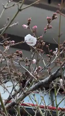 車折神社(京都府)