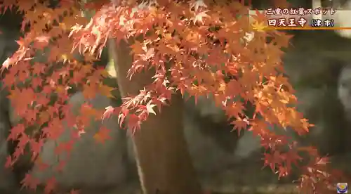 伊勢の国 四天王寺(三重県)