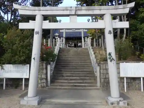 白山神社（小幡）の鳥居
