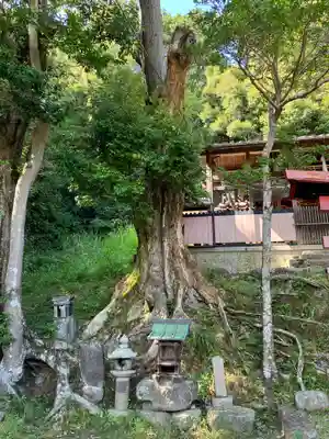 白山神社(京都府)