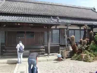 徳正寺の本殿・本堂