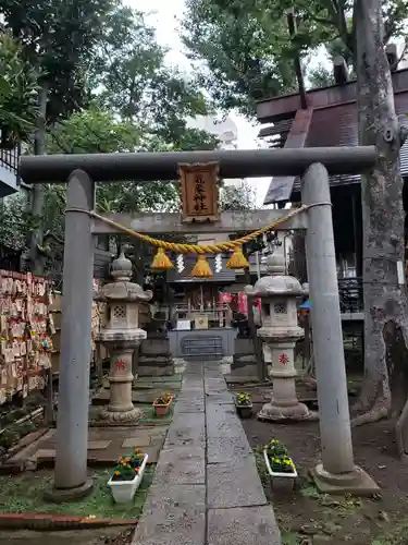 高円寺氷川神社の鳥居