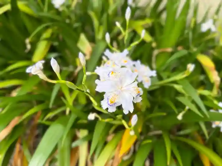 西方山極楽寺(岐阜県)