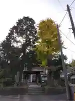 正安寺(神奈川県)