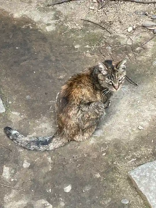 稲荷鬼王神社(東京都)