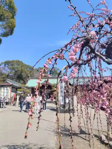 結城神社の{uncategorized: "未分類", other: "その他", undefined: "問題あり", building: "その他建物", grave: "お墓", sacred_gate: "鳥居", guardian: "狛犬", statue: "像", buddha: "仏像", history: "歴史", nature: "自然", garden: "庭園", animal: "動物", pagoda: "塔", temizu: "手水舎", mountain_gate: "山門・神門", sanctuary: "本殿・本堂", subordinate: "末社・摂社", art: "芸術", scenery: "景色", jizo: "地蔵", ema: "絵馬", goshuin: "御朱印", omikuji: "おみくじ", items: "授与品その他", amulet: "お守り", goshuincho: "御朱印帳", eats: "食事", festival: "お祭り", votive_dance: "神楽", shichigosan: "七五三参", wedding: "結婚式", experience: "体験その他", initially: "初詣", around: "周辺", anti_infection: "感染症対策"}