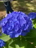 東勝寺宗吾霊堂(千葉県)