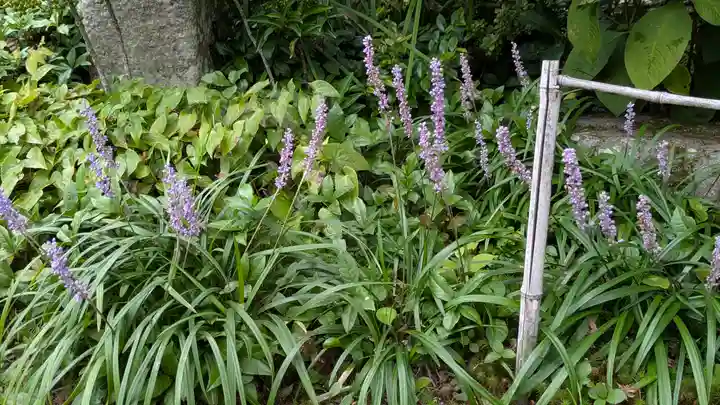 実光院(京都府)