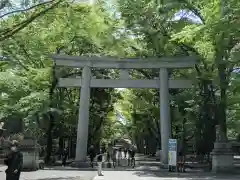 大國魂神社の鳥居