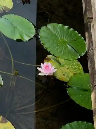 熊野堂神社の自然