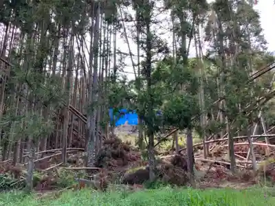 稲荷神社の自然