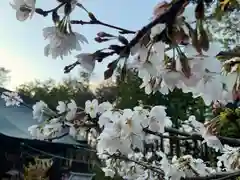 滑川神社 - 仕事と子どもの守り神の自然