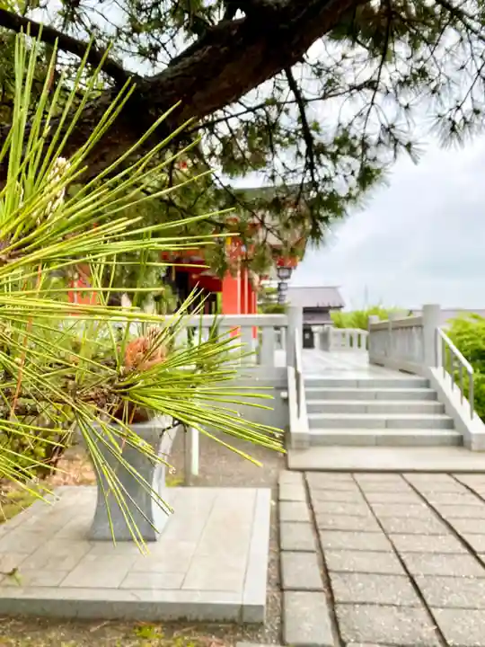 樽前山神社の自然