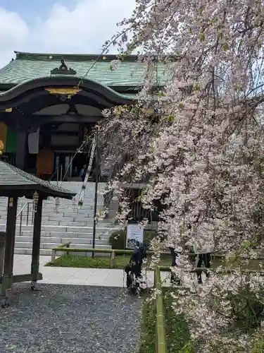 宝勝山　南藏院   蓮光寺の本殿・本堂