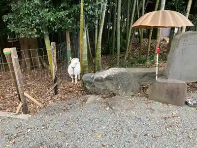 出雲大社相模分祠のその他建物