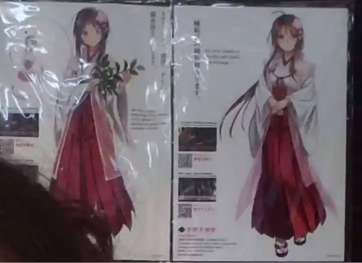 京都大神宮(京都府)