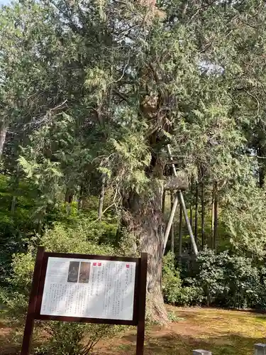 大智寺(岐阜県)